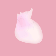 X站生命汉化版下载安装-X站生命汉化版游戏下载v1.0